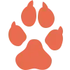 adoption icon - an orange paw print